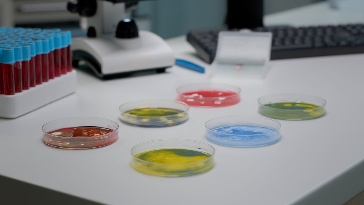 Microbioma: un ecosistema en nuestra piel.